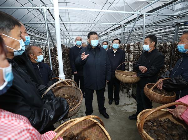 习近平总书记考察无码破解
援建的金米村智能连栋木耳大棚